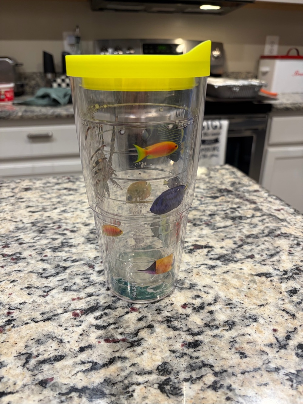 Tervis 24 oz Clear Plastic Tumbler with Yellow Lid Sea Life Fish Design